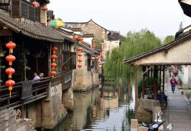 粘鼠板能不能粘蟑螂呢？游戏画面